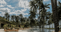 Beachfront 2 & 3 Bedroom Apartments – Coson Beach, Gran Cosón, Las Terrenas, Dominican Republic
