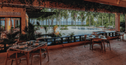 Beachfront 2 & 3 Bedroom Apartments – Coson Beach, Gran Cosón, Las Terrenas, Dominican Republic