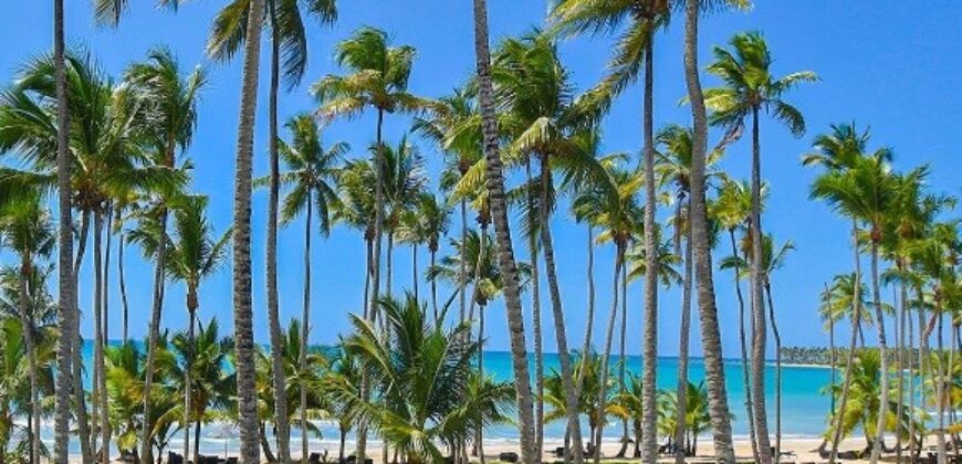 Casitas by Cosón Bay – Las Terrenas, Samaná