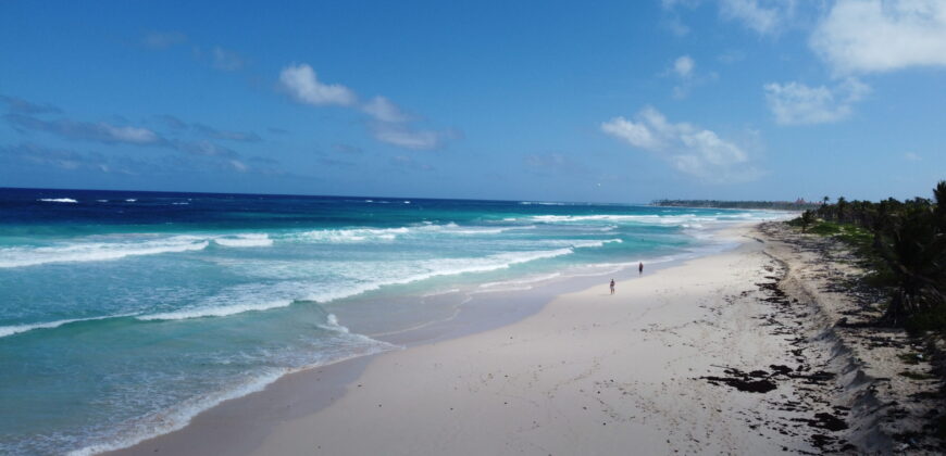 1–3 Bedroom Beachfront Apartments Punta Cana–Macao | A New Vision of Beachfront Luxury
